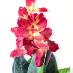 CANNA RED  (Artificial) - HEIGHT 80CM